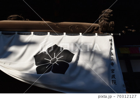 東京大田区、密蔵院にて 東京大田区、密蔵院にて 70312127