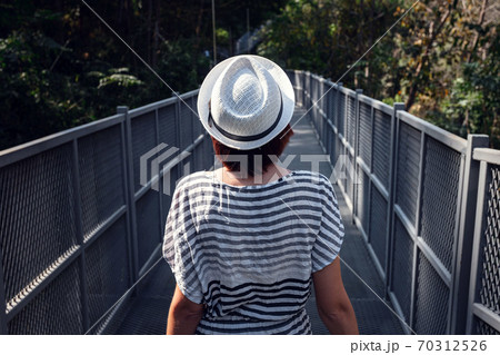 Woman standing alone on Canopy walkway at Queen Sirikit Botanic Gardens Woman standing alone on Canopy walkway at Queen Sirikit Botanic Gardens 70312526