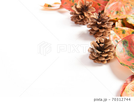 Autumn background with pine cone, autumn leaves on white background Autumn background with pine cone, autumn leaves on white background 70312744