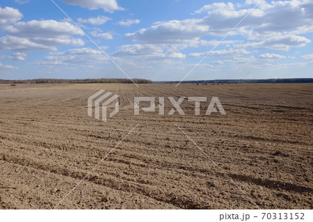 A plowed agricultural field. Blue sky over a farm field. A plowed agricultural field. Blue sky over a farm field. 70313152