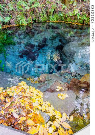 紅葉シーズンの九重連山東麓、黒岳原生林で湧く男池湧水群 70313338