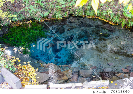 紅葉シーズンの九重連山東麓、黒岳原生林で湧く男池湧水群 70313340