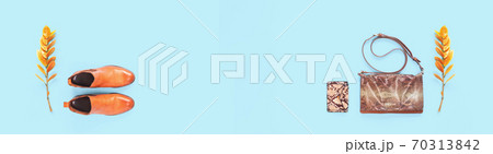 Pair of orange autun boots and animal print bag on blue 70313842