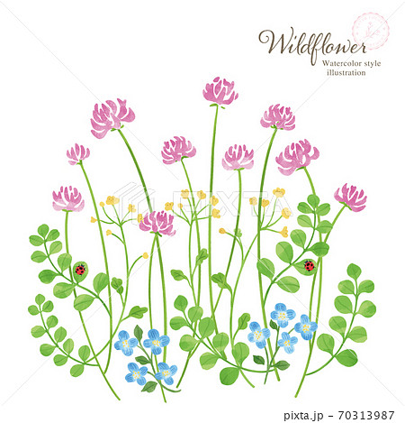 レンゲ草と春の草花のイラスト 水彩風のイラスト素材