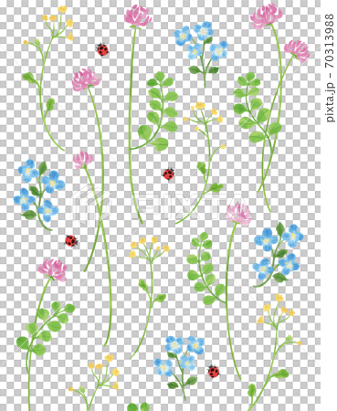 レンゲ草と春の草花のイラスト/シームレスパターン 70313988
