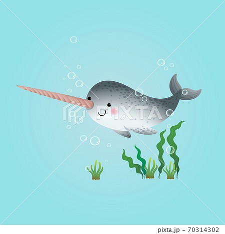 Vector illustration cute cartoon narwhal swimming underwater in the blue ocean. 70314302