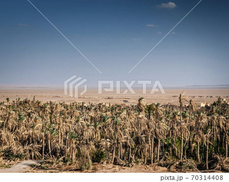 desert landscape view in garmeh oasis southern iran 70314408