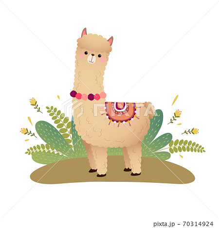 Vector Illustration Of A Cartoon Alpaca On A のイラスト素材