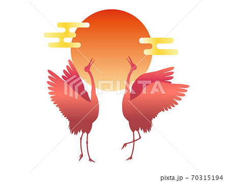 鶴 タンチョウ シルエット 太陽のイラスト素材