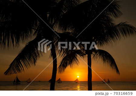 Sunset on the beach 70316659