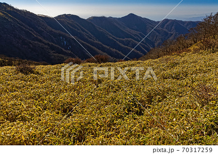 不動ノ峰付近から見る塔ノ岳への稜線 70317259