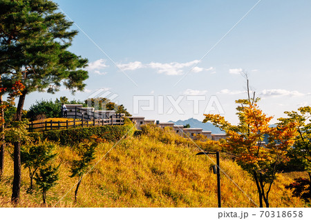 Autumn of Namsan Park in Seoul, Korea 70318658