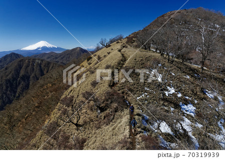 丹沢主脈縦走路から見る富士山と蛭ヶ岳 70319939