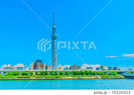 アニメ風 東京の夏 入道雲とスカイツリーの都市風景のイラスト素材