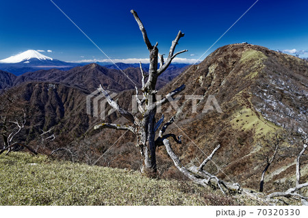丹沢主脈縦走路から見る富士山と蛭ヶ岳 70320330