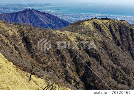 丹沢・不動ノ峰付近から大山と湘南の眺め 70320466