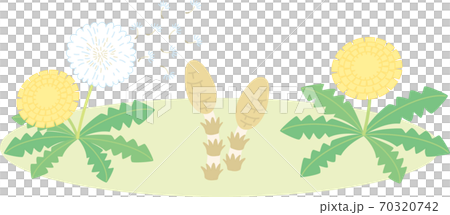 蒲公英和Tsukushi 70320742