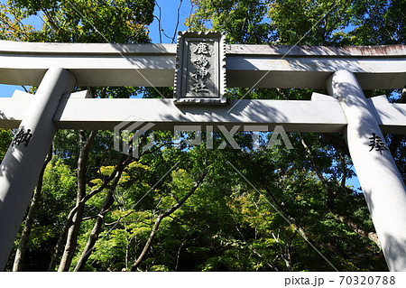 兵庫県 鹿嶋神社で撮影 兵庫県 鹿嶋神社で撮影 70320788