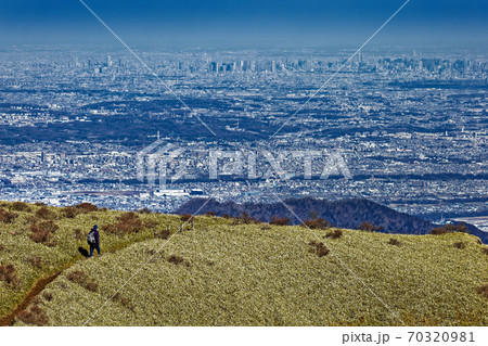 冬の丹沢・不動ノ峰付近の草原を行く登山者と東京都心の眺め 冬の丹沢・不動ノ峰付近の草原を行く登山者と東京都心の眺め 70320981
