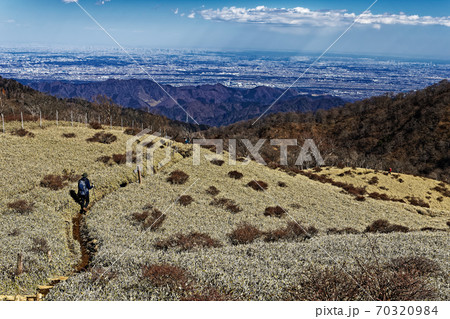 冬の丹沢・不動ノ峰付近の草原を行く登山者と東京都心の眺め 70320984
