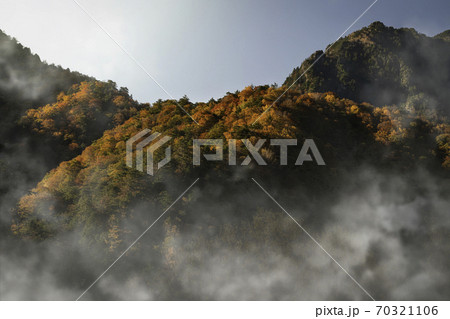 西沢渓谷の紅葉 70321106