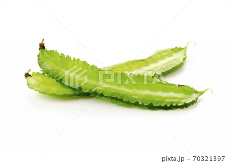 シカクマメ(ウリズンマメ) シカクマメ(ウリズンマメ) 70321397