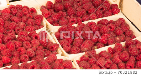 Red raspberries in containers on the market 70321882