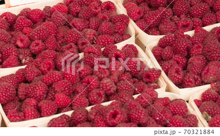 Red raspberries in containers on the market 70321884