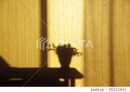 部屋の窓から明るい西日が差して奥の襖に家具の影が映る情景 70322041