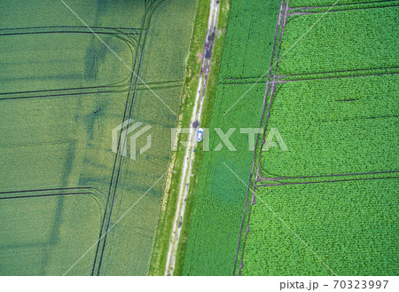 Aerial view of a path between two arable land with a car Aerial view of a path between two arable land with a car 70323997