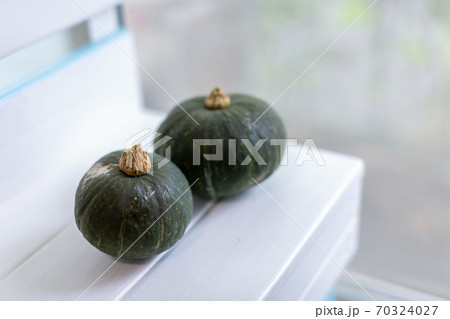 夏野菜の収穫 南瓜の写真素材