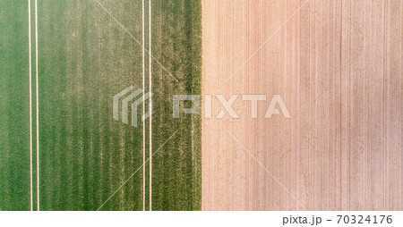 Vertical aerial view of a field with green sprouting young vegetation 70324176