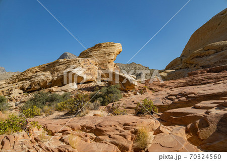 Sunny view of the Calico Tanks Trail of Red Rock Canyon National Conservation Area 70324560
