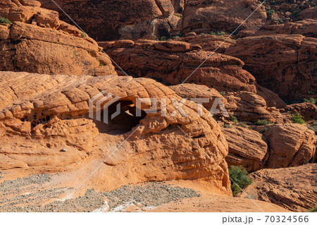 Sunny view of the Calico Hills of Red Rock Canyon National Conservation Area 70324566