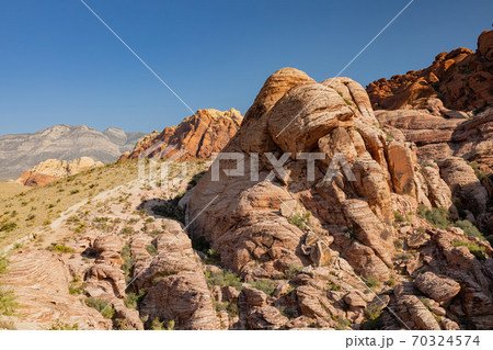 Sunny view of the Calico Hills of Red Rock Canyon National Conservation Area Sunny view of the Calico Hills of Red Rock Canyon National Conservation Area 70324574