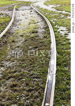 Tram rails  in grass 70325246