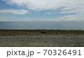 バンクーバーの風景 70326491