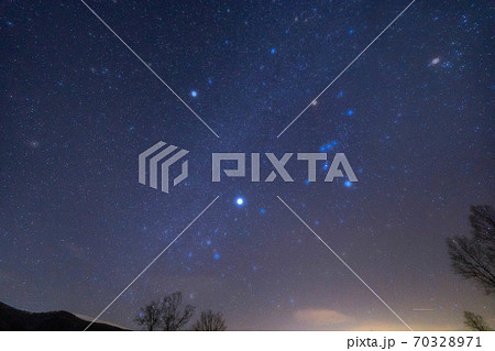 乗鞍高原 冬の星空 【長野県】 乗鞍高原 冬の星空 【長野県】 70328971