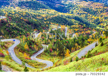 紅葉の万座ハイウェイ 紅葉の万座ハイウェイ 70329342