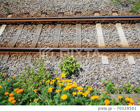線路とカレンデュラの黄色い花 線路とカレンデュラの黄色い花 70329501