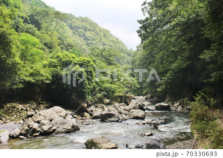 摂津峡 ハイキングコースにある芥川 摂津峡 ハイキングコースにある芥川 70330693