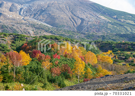 カラフルに色づいた秋の高山の林 カラフルに色づいた秋の高山の林 70331021