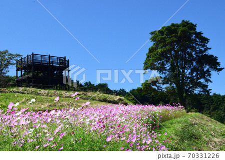 上原高原コスモス園の展望台 70331226