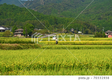 大分県田染荘の棚田 大分県田染荘の棚田 70331938