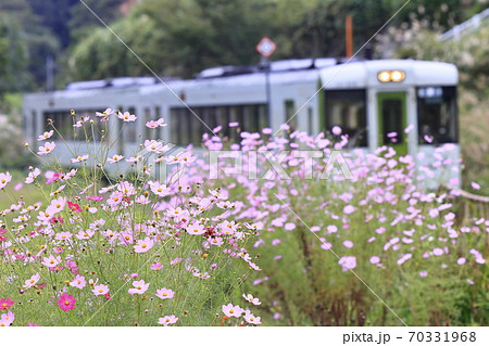 秋の飯山線 70331968
