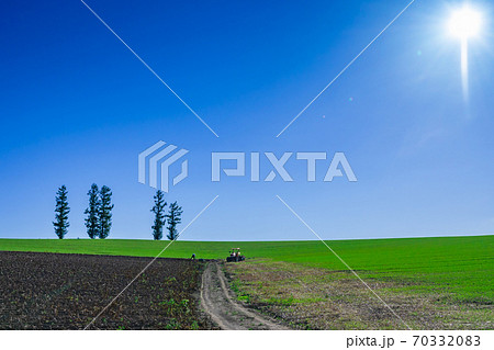 緑の畑、丘陵地域、水平線、青空 広大な丘、富良野. 、北海道、美瑛、快晴、青空、 緑の畑、丘陵地域、水平線、青空 広大な丘、富良野. 、北海道、美瑛、快晴、青空、 70332083