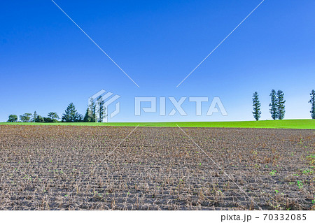 緑の畑、丘陵地域、水平線、青空 広大な丘、富良野. 、北海道、美瑛、快晴、青空、 緑の畑、丘陵地域、水平線、青空 広大な丘、富良野. 、北海道、美瑛、快晴、青空、 70332085