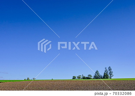 緑の畑、丘陵地域、水平線、青空 広大な丘、富良野. 、北海道、美瑛、快晴、青空、 緑の畑、丘陵地域、水平線、青空 広大な丘、富良野. 、北海道、美瑛、快晴、青空、 70332086