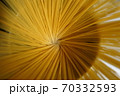 パスタ 70332593
