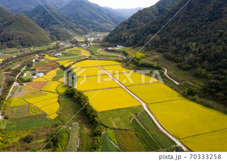 山 オンダル酸 秋 70333258